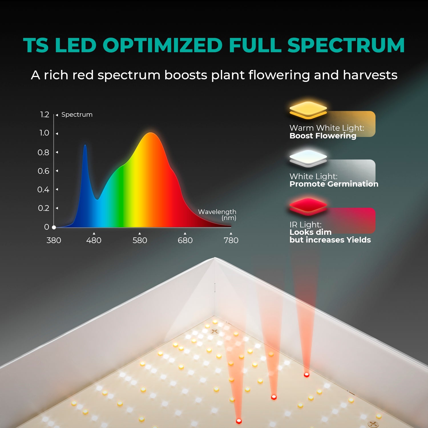 Mars Hydro TS 600 | 100W LED Grow Light + 60x60x140cm Growbox | Komplettset