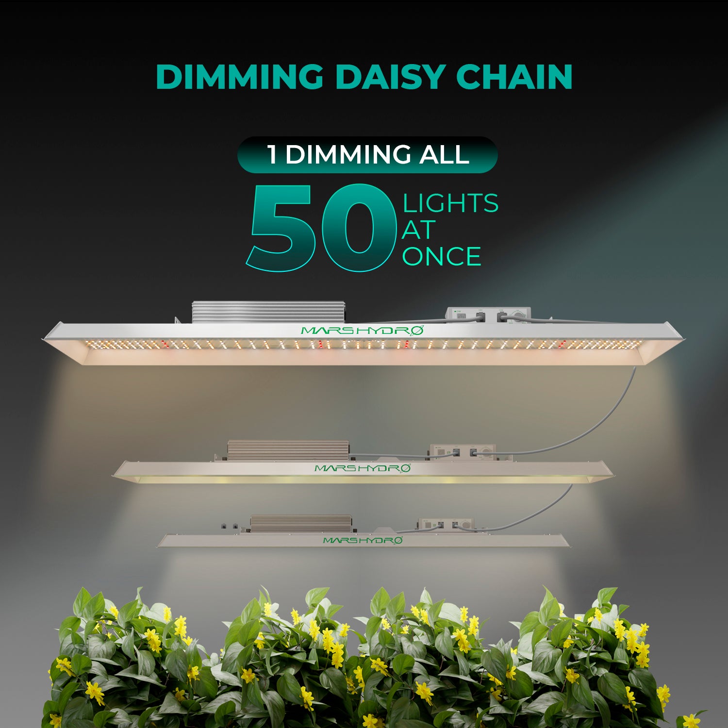 Mars Hydro TSL 2000 | 300W Full Spectrum LED Grow Light